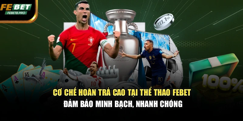 Cơ chế hoàn trả cao tại thể thao FEBET đảm bảo minh bạch, nhanh chóng