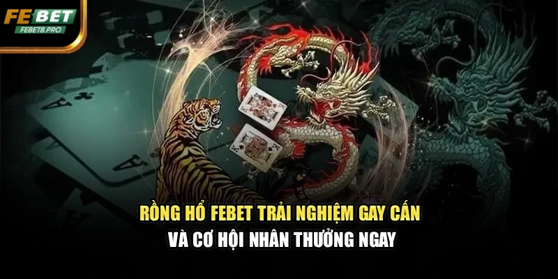 Rồng Hổ Febet Trải Nghiệm Gay Cấn Và Cơ Hội Nhân Thưởng Ngay 1 Rồng Hổ Febet Trải Nghiệm Gay Cấn Và Cơ Hội Nhân Thưởng Ngay
